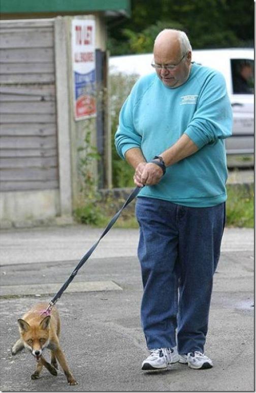 Different Pet Walkers - Rare and Strange Photos (8).JPG