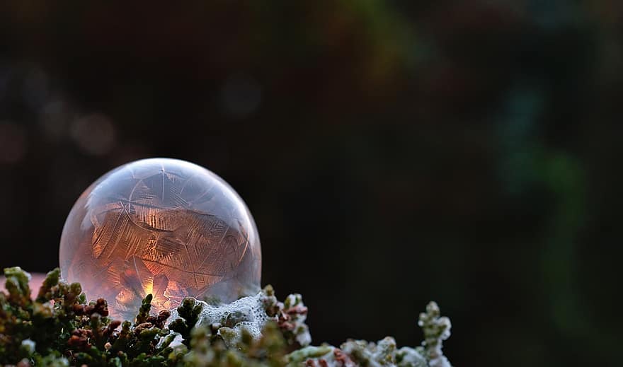 soap-bubble-bubble-frozen-ice-water-eiskristalle-cold-icy-winter.jpg