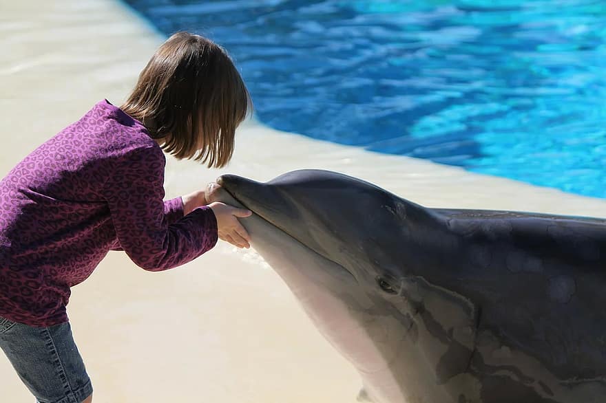 girl-dolphin-young-las-vegas-mirage-casino-siegfried-roy-secret-garden-habitat.jpg