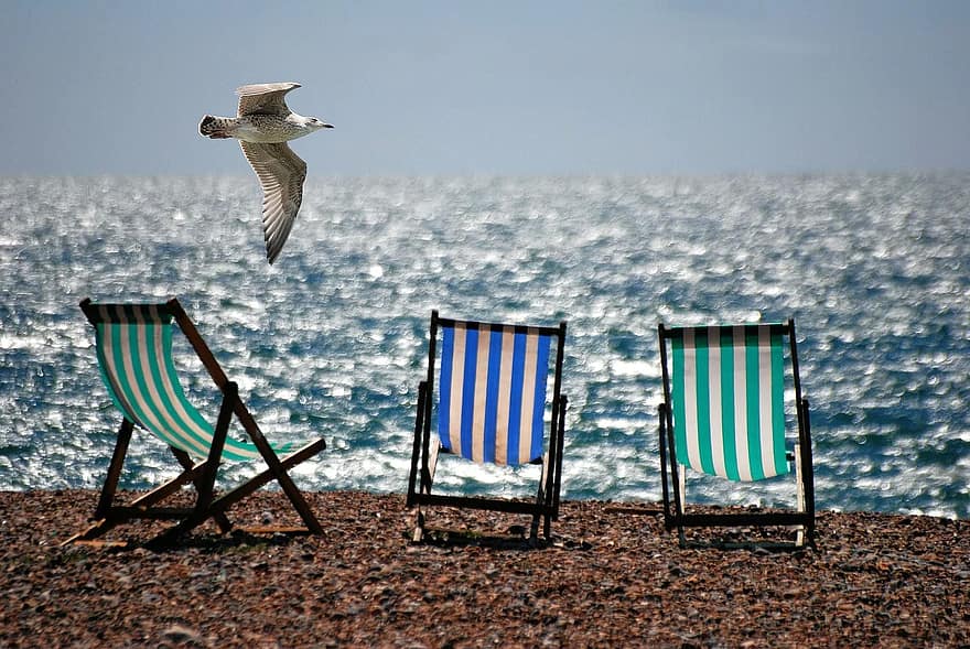 deckchairs-sea-beach-seaside-seagull-summer.jpg