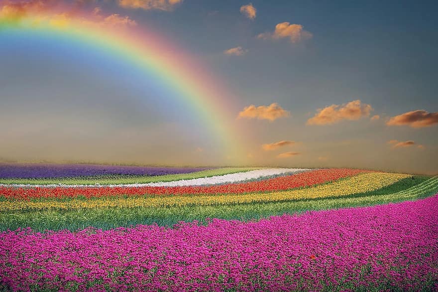 spring-landscape-flowers-rainbow-sky-clouds-colorful.jpg