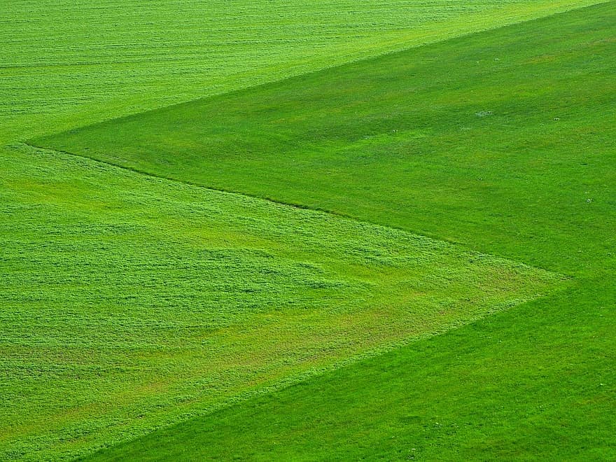 meadow-green-grass-landscape-square-symmetrical-cool-wallpaper.jpg