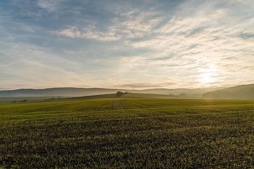 landscape-spacious-field-meadow-sunset-sky.jpg