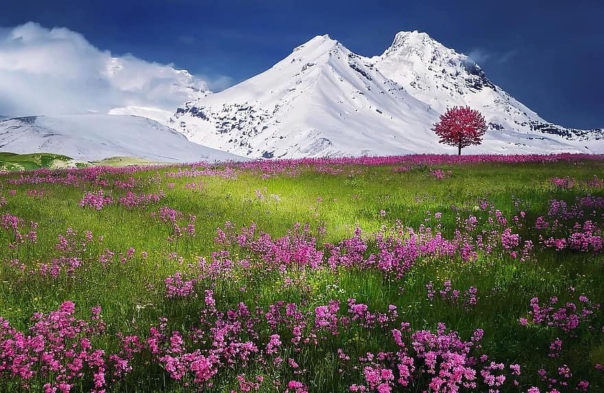 mountains-alps-meadow-summer-landscape.jpg