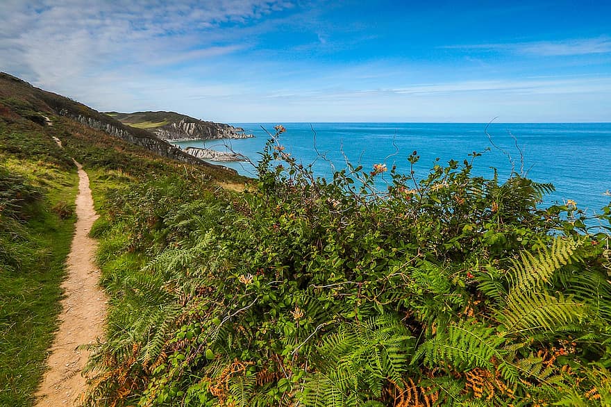 coast-walkway-ocean-england.jpg