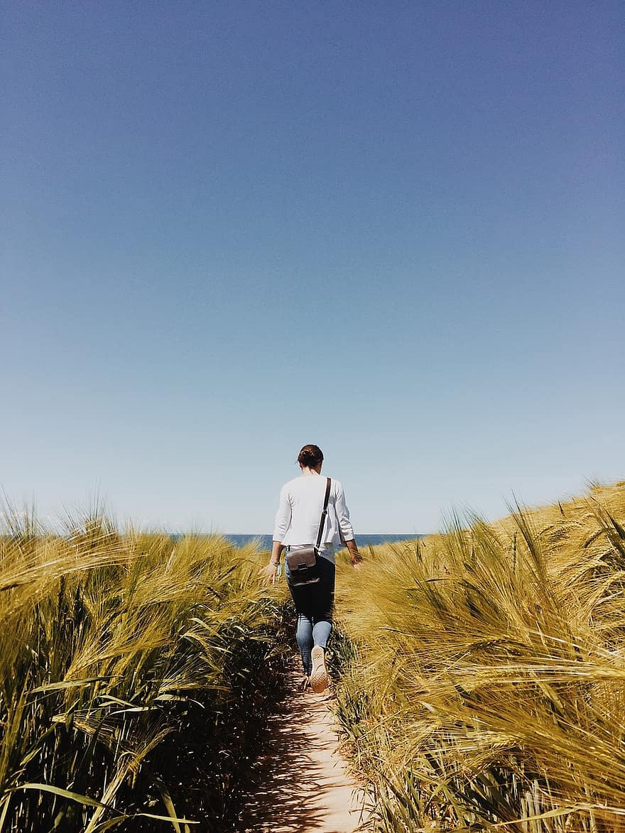 pathway-walking-person-walking-person-walkway-field-countryside.jpg