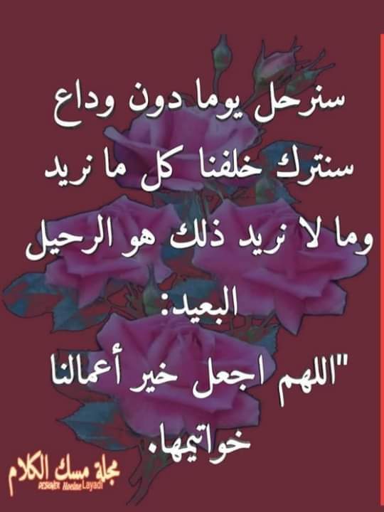 FB_IMG_1629129957408.jpg