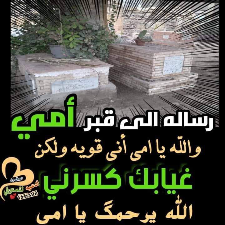 FB_IMG_1647742715919.jpg