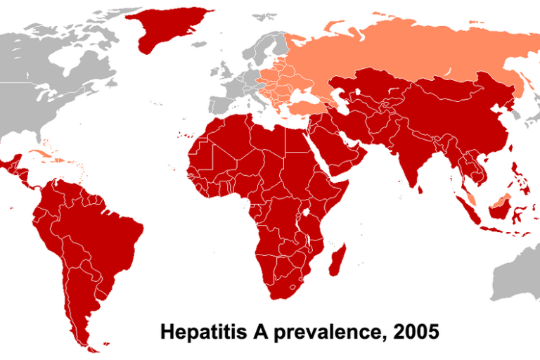 1200px-HAV_prevalence_2005-768x512.png