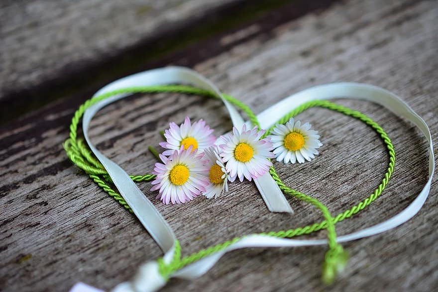 daisy-heart-romance-valentine-s-day-love-spring-greeting-heart-shaped-friendship.jpg