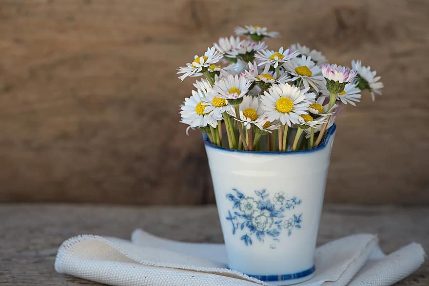 daisy-pointed-flower-flower-white-vase-vessel-deco-country-life-close-up.jpg