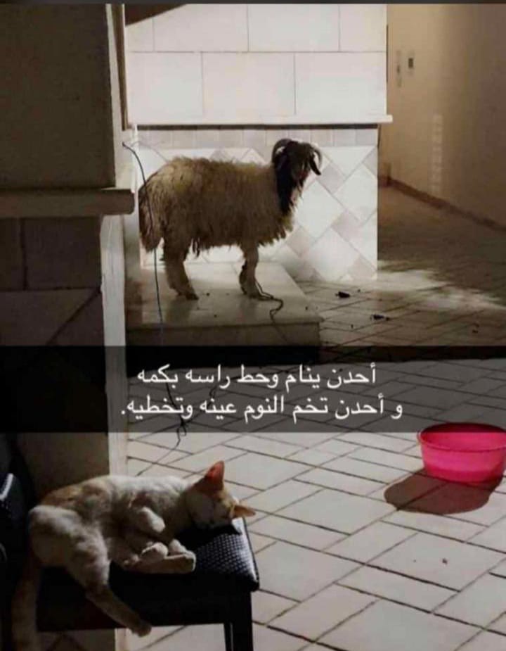 احد ينام .jpeg