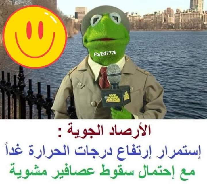 FB_IMG_1659542054190.jpg