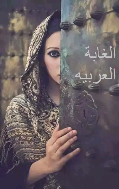 مسابقة الغابه.jpg