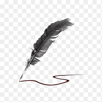 png-clipart-black-feather-feather-illustration-wing-thumbnail.png