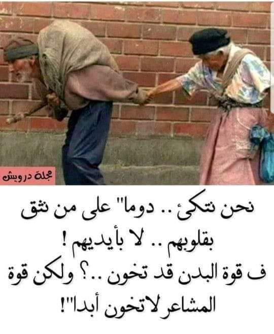 1668887914456.png