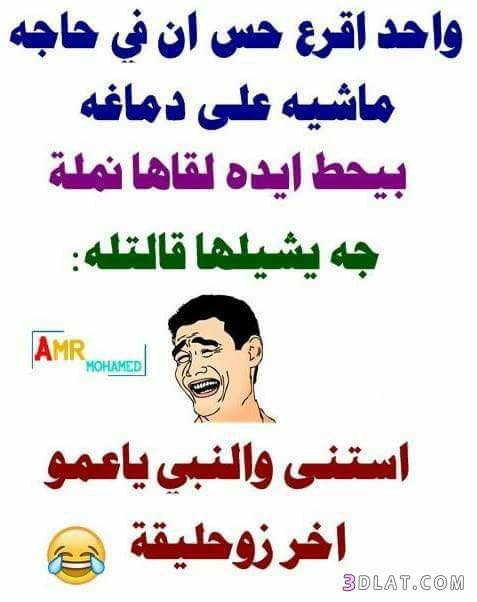1669495541276.png