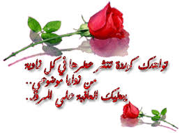 1670283601983.png