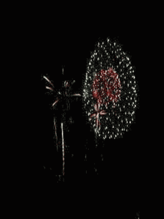 fireworks_4t7x8q8a.gif