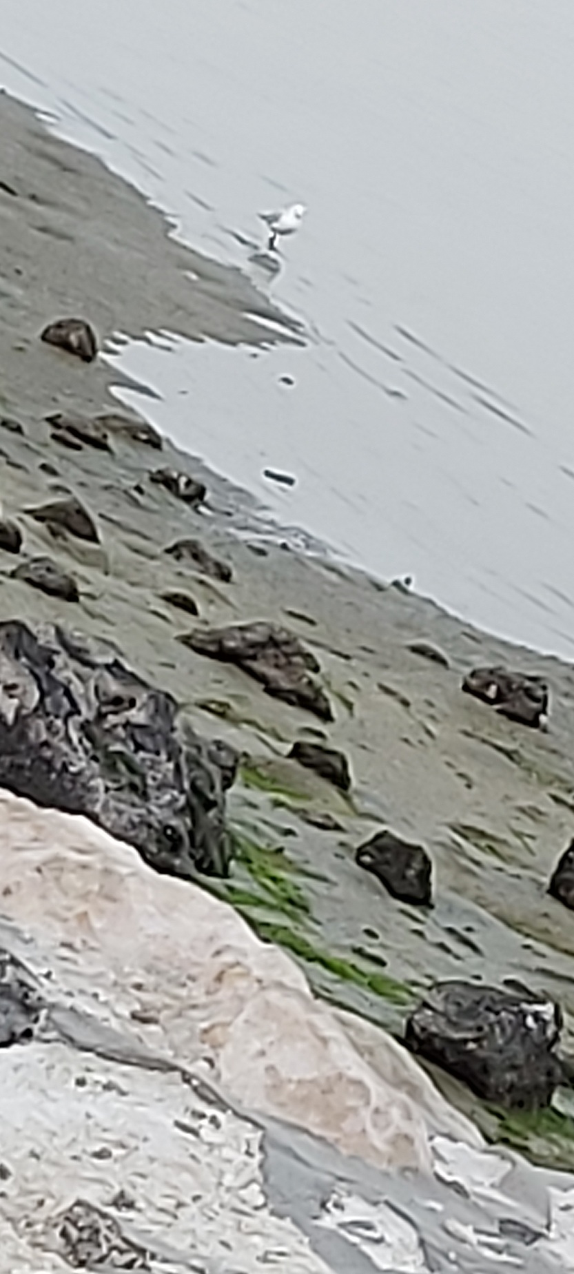 ٢٠٢٣٠٢١١_١٧٢٤٠٦.jpg