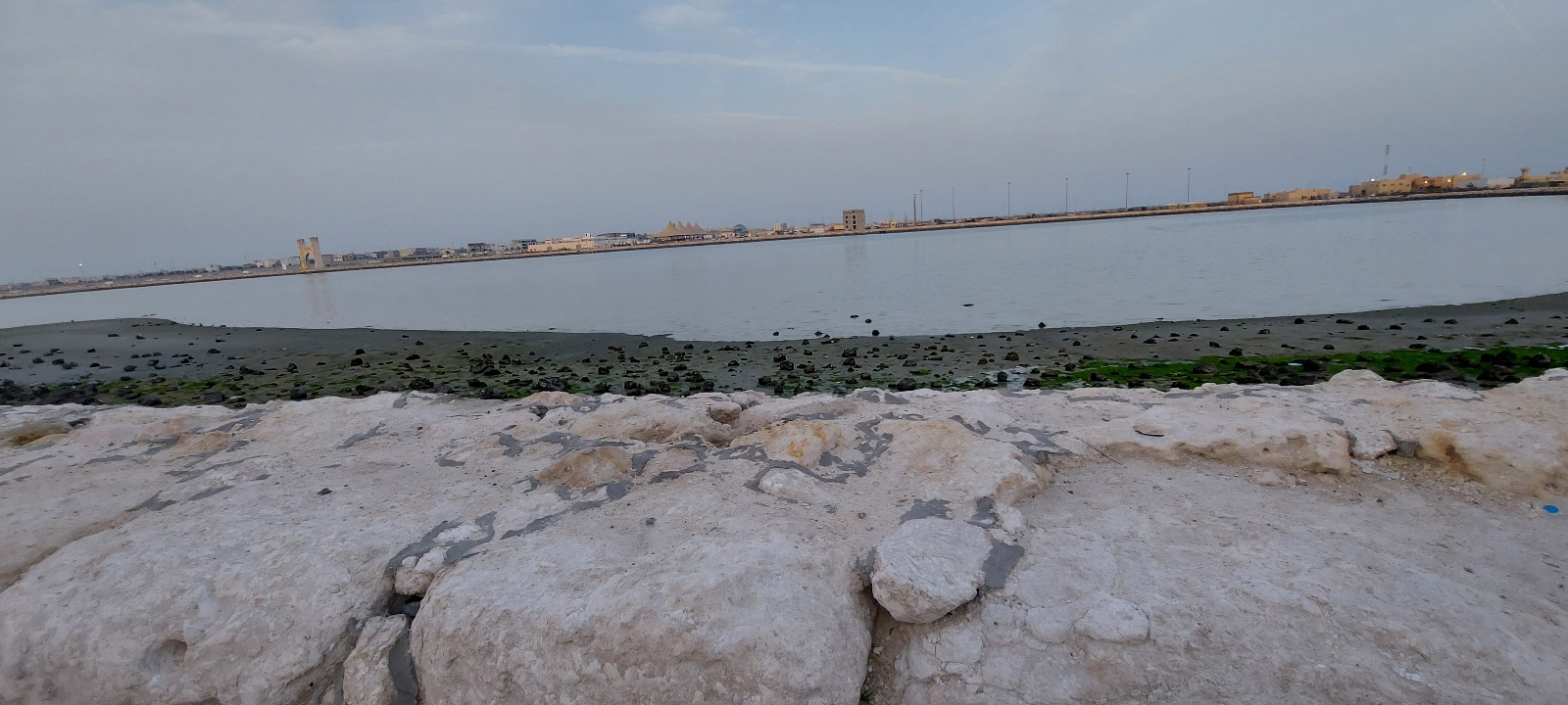 ٢٠٢٣٠٢١١_١٧١٣٥٣.jpg