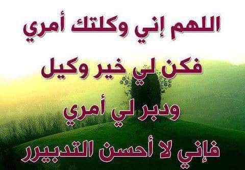 FB_IMG_1631916966823.jpg