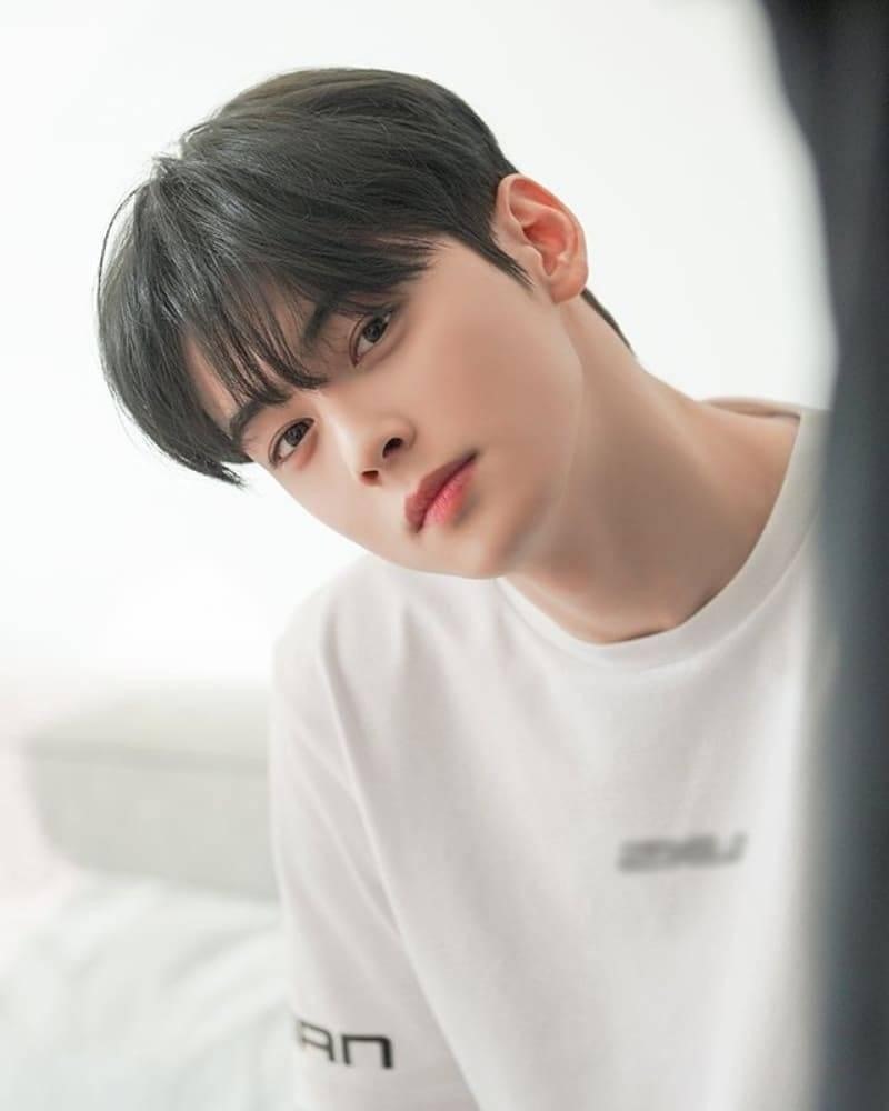 Cha-Eun-Woo2.jpeg