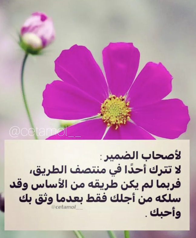 IMG_3357.jpeg