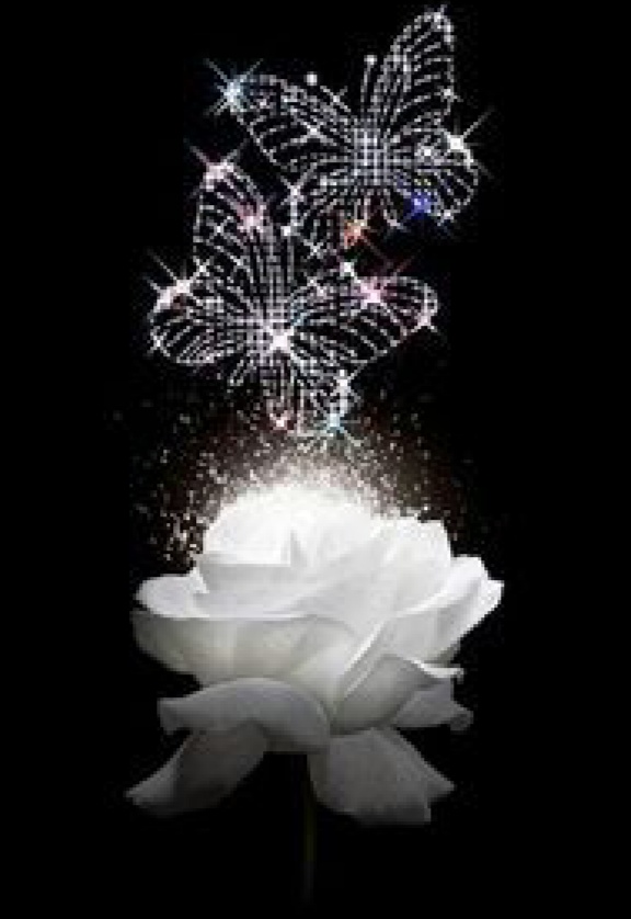 IMG_٢٠٢٣٠٨١٧_٠٥١٩٥٦.jpg