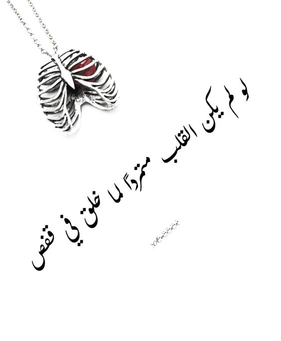 cc19c40c0468ce6a202c847f878ba504.jpg