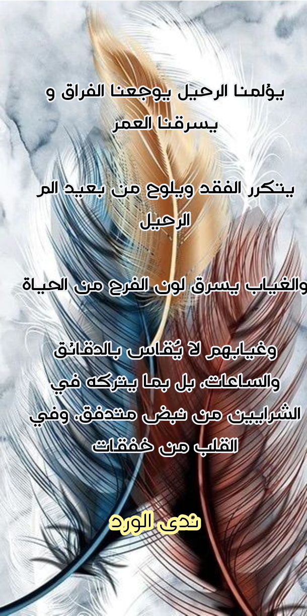 IMG_20231024_132626.png
