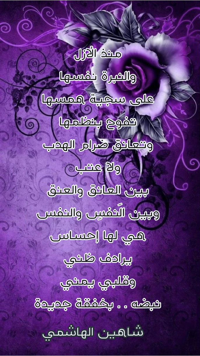 IMG_20231024_133422.png