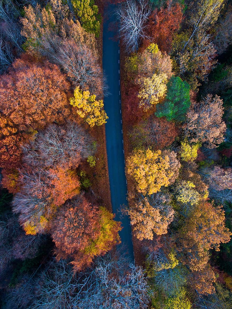 aerial-view-autumn-leaves-autumn-aerial-landscape-fall-yellow-orange-tree.jpg