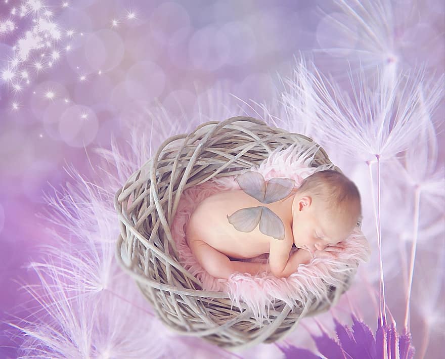 baby-dandelion-female-girl-bokeh-pink-purple-sleep-fantasy.jpg