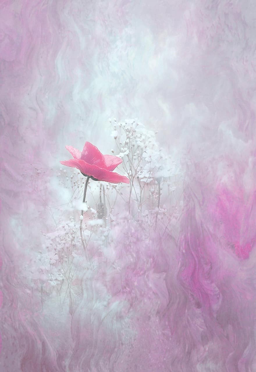blossom-bloom-flower-plant-close-up-flowers-macro-digital-art-artistically.jpg