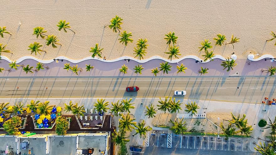 buildings-cars-palm-trees-road-sand-top-view-aerial-view.jpg