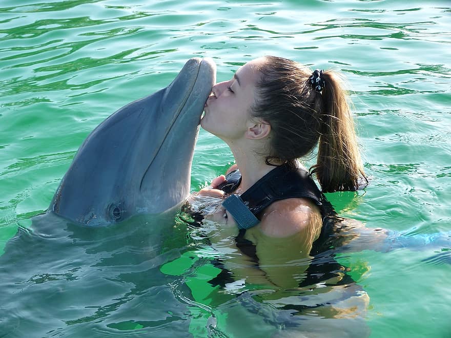 dolphin-margarita-island-venezuela-fun.jpg