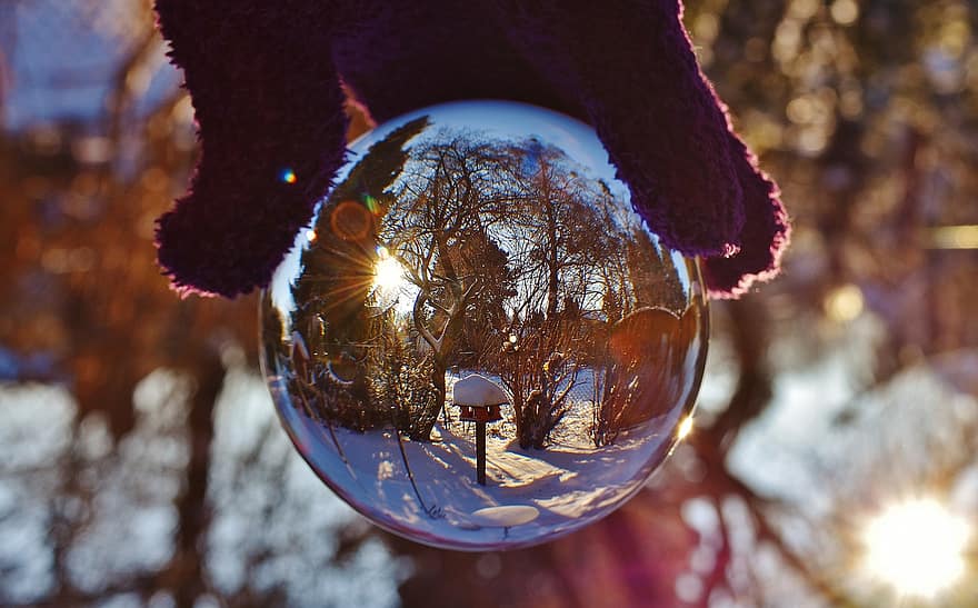 glass-ball-mirroring-transparent-trees-garden-glass-ball-light-round.jpg