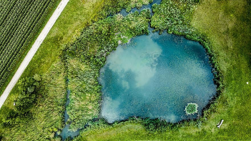 lake-aerial-view-nature-landscape-away-pond-green.jpg