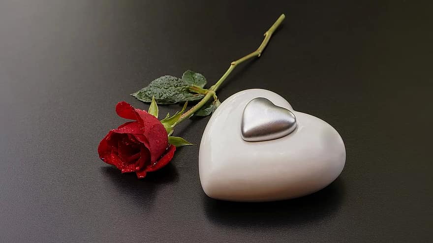love-valentine-heart-red-rose-valentine-s-day-declaration-of-love-still-life-white-silver.jpg
