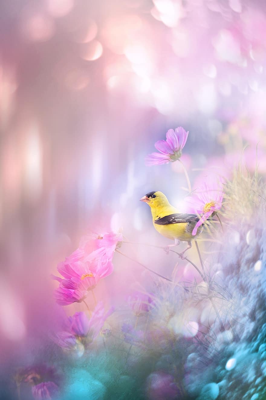 nature-landscape-bird-animal-flowers-light-romantic-romance-bokeh.jpg