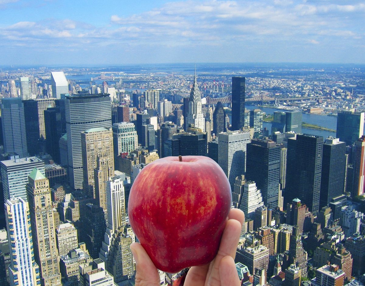 هل تعلم لماذا تُلّقب مدينة نيويورك الأمريكية بالتفاحة الكبيرة؟
