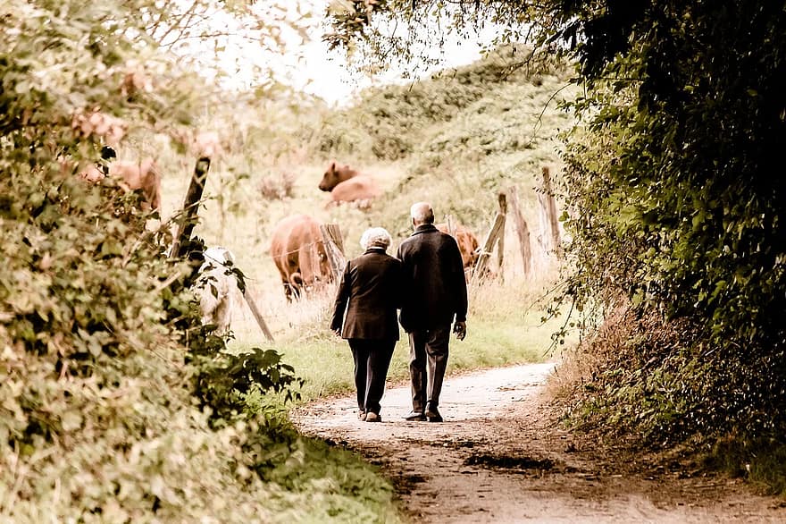 pair-seniors-pensioners-age-silhouette-old-love-human-personal-harmony.jpg
