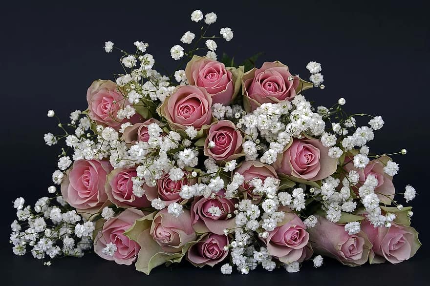 roses-rose-flower-flowers-pink-white-gypsophila-nature-bouquet-of-flowers-bouquet.jpg