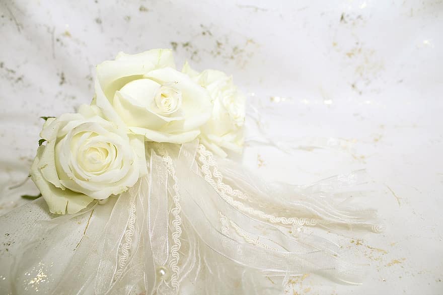 roses-white-blossom-bloom-background-wedding-engagement-invitation-floral.jpg