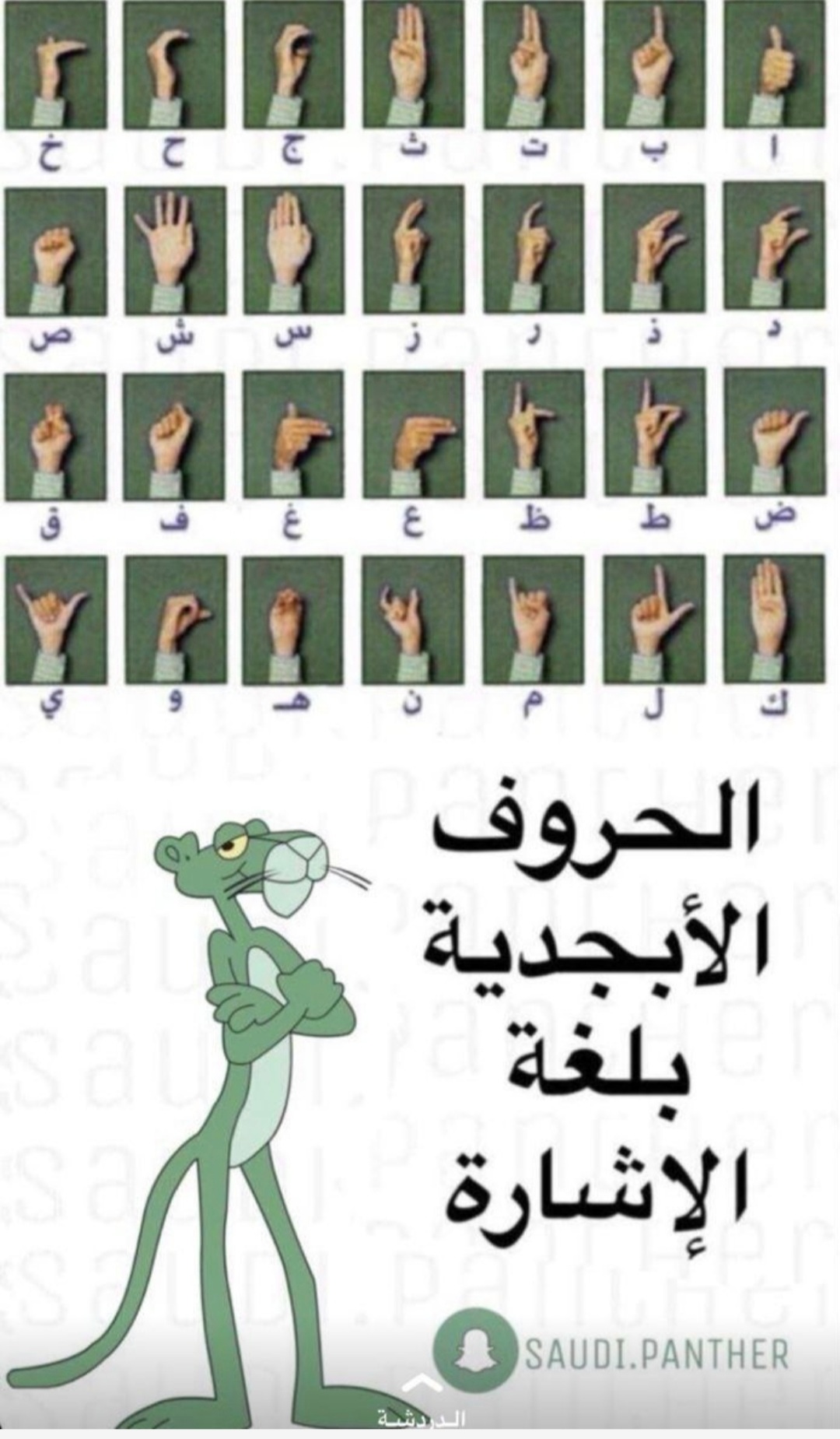 الحروف الأبجدية بلغة الاشارة
