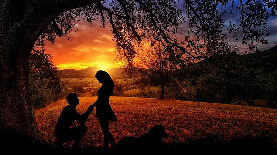 sunset-outdoors-dawn-nature-dusk-silhouette-couple-lovers-dog.jpg