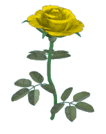 Yellow-Roses-89588.gif