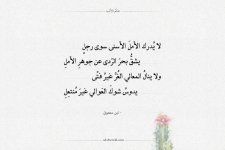 adabworld-N51.jpg adabworld-N51.jpg