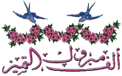 IMG_6539.gif IMG_6539.gif